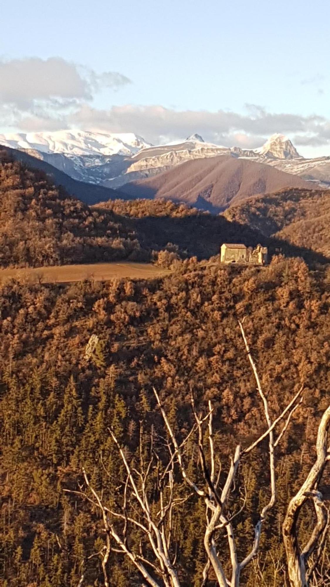 La Provence Vous Attend***!!! - 1Er Etage Digne-les-Bains Eksteriør billede