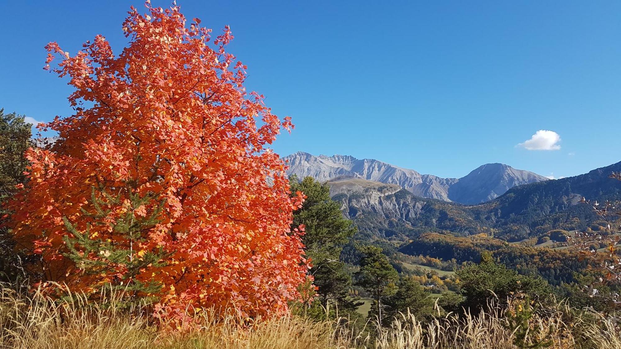La Provence Vous Attend***!!! - 1Er Etage Digne-les-Bains Eksteriør billede